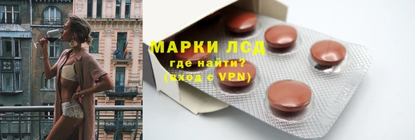 хмурый Алексин