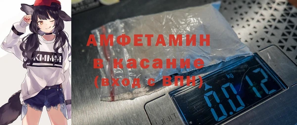 хмурый Алексин