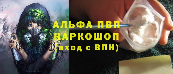 хмурый Алексин